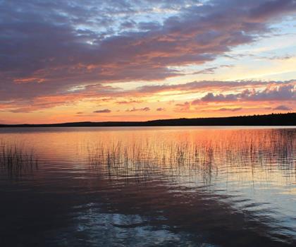 Lakeland Provincial Recreation Area trail - hiking in Lakelands
