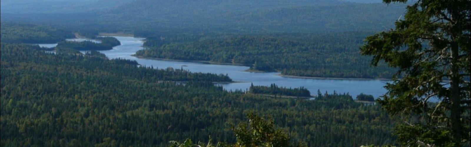 Sentier Le Parc Régional De La Seigneurie Du Lac Matapédia - randonnée en Amqui