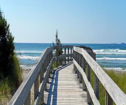 Clam Harbour Beach Provincial Park trail - hiking in Eastern Shore