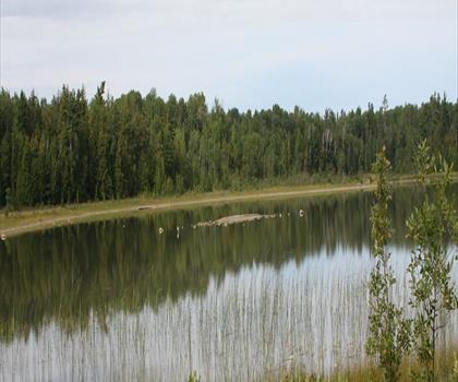 Cyprus Lake Rd trail - hiking in Bruce Peninsula, Southern Georgian Bay and Lake Simcoe