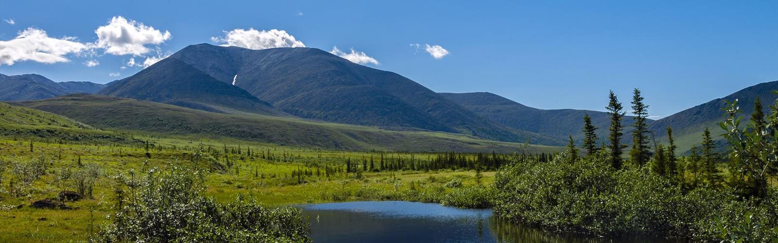 Sentier lac Blackspruce - randonnée en North Part