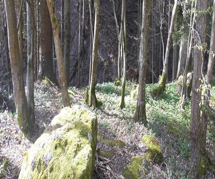 Auberge La Cascade du Nideck trail - hiking in Bas-Rhin