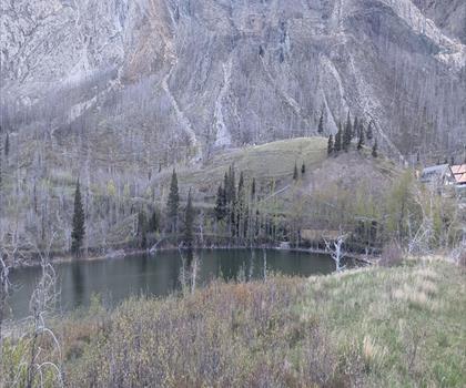 Sentier Bears Hump Trailhead - randonnée en Canadian Rockies
