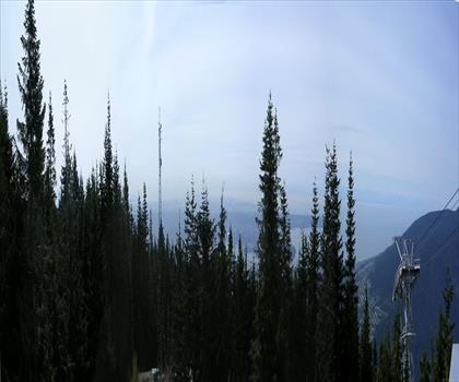 Grouse Grind Trail trail - hiking in Vancouver Coast Mountains