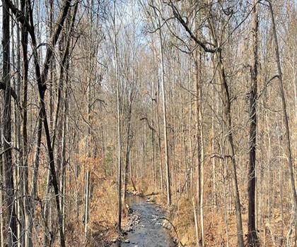 Sentier parc Dater Mountain Nature - randonnée en Vallée de l'Hudson