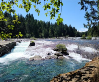 Nymph Falls Nature Park trail - hiking in Vancouver Island
