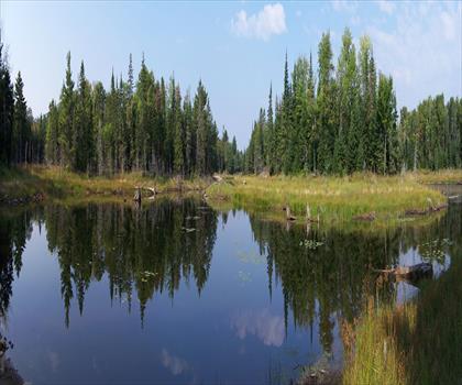 Sentier Point Grondine Park - randonnée en Northeastern Ontario