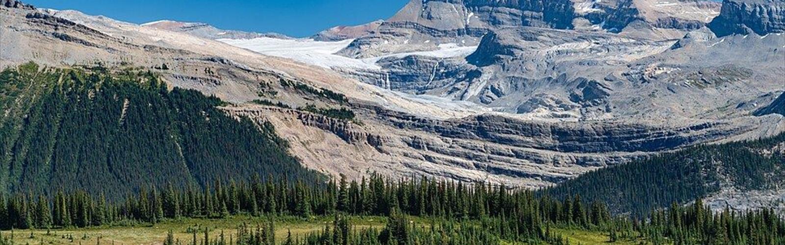 Iceline Trail trail - hiking in Kootenay Rockies