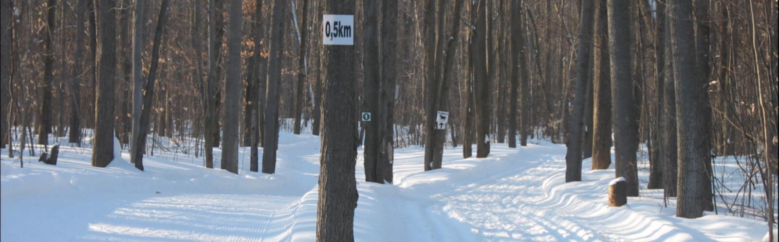 Sentier Base De Plein Air Des Cèdres - randonnée en Montérégie