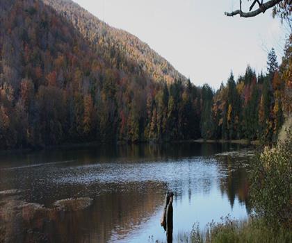 Indian Head Wilderness trail - hiking in Catskills