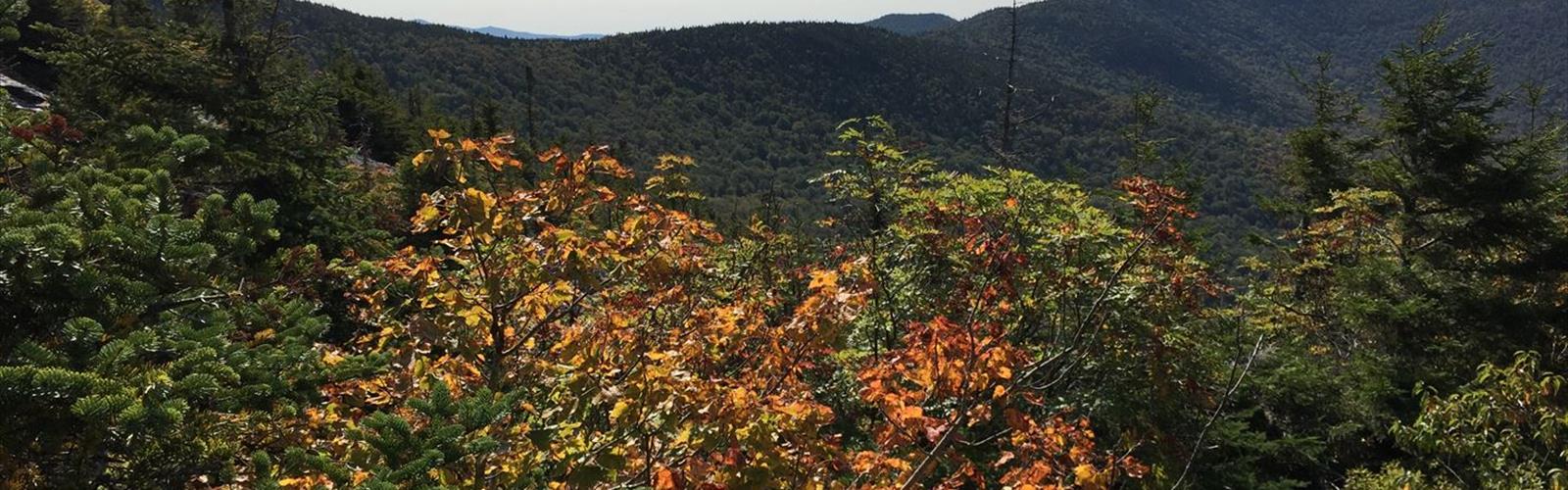Lake Mansfield Trout Club trail - hiking in Central Vermont