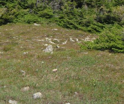 Mt Moosilauke trail - hiking in Dartmouth-Lake Sunapee