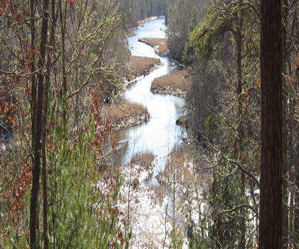 Old Indian Meeting House trail - hiking in The Islands