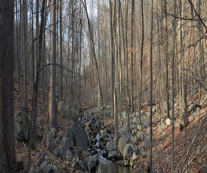 Scarlet Oak Pond Walk trail - hiking in Skylands Region
