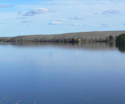 Sentier lac Anglin - randonnée en Unlimited Lakes & Parkland