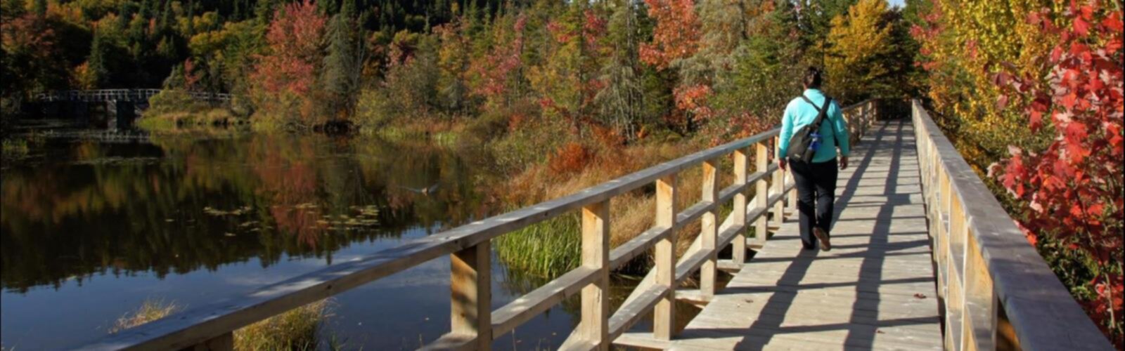 Les Marais Du Nord trail - hiking in Stoneham-et-Tewkesbury