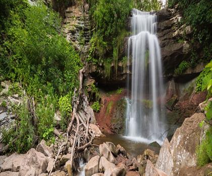 Smokey Hollow Waterfall trail - hiking in Hamilton, Halton and Brant
