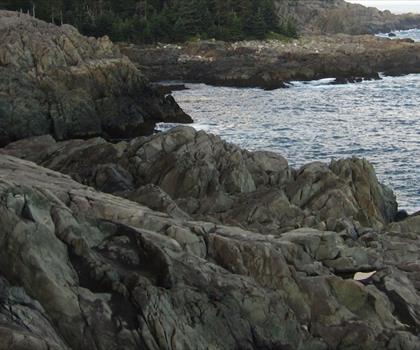 Trailhead: Cutler Bold Coast Trail trail - hiking in Down East & Acadia