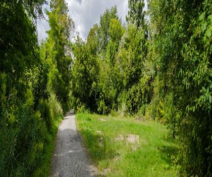Taylor Creek Park trail - hiking in Greater Toronto Area