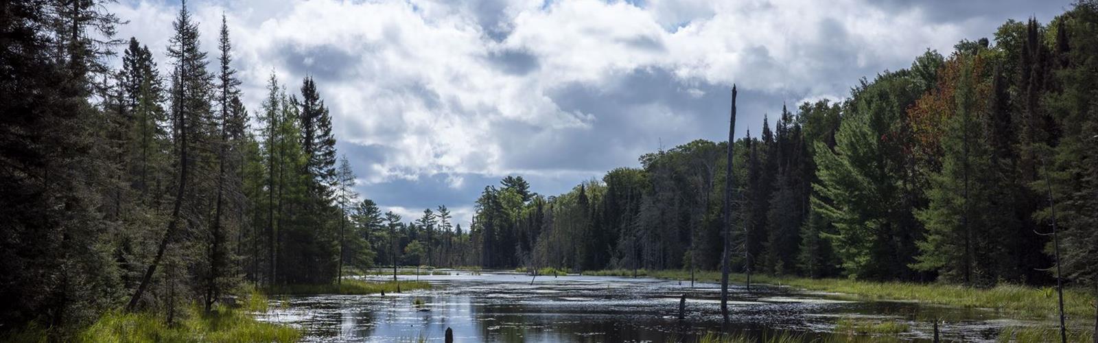 Mikisew Provincial Park trail - hiking in South River