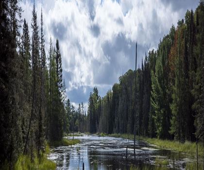Mikisew Provincial Park trail - hiking in Algonquin Park, Almaguin Highlands, Muskoka and Parry Sound