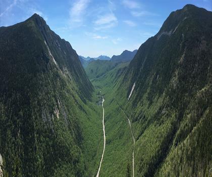 Sentier chutes Zealand - randonnée en Montagnes Blanches