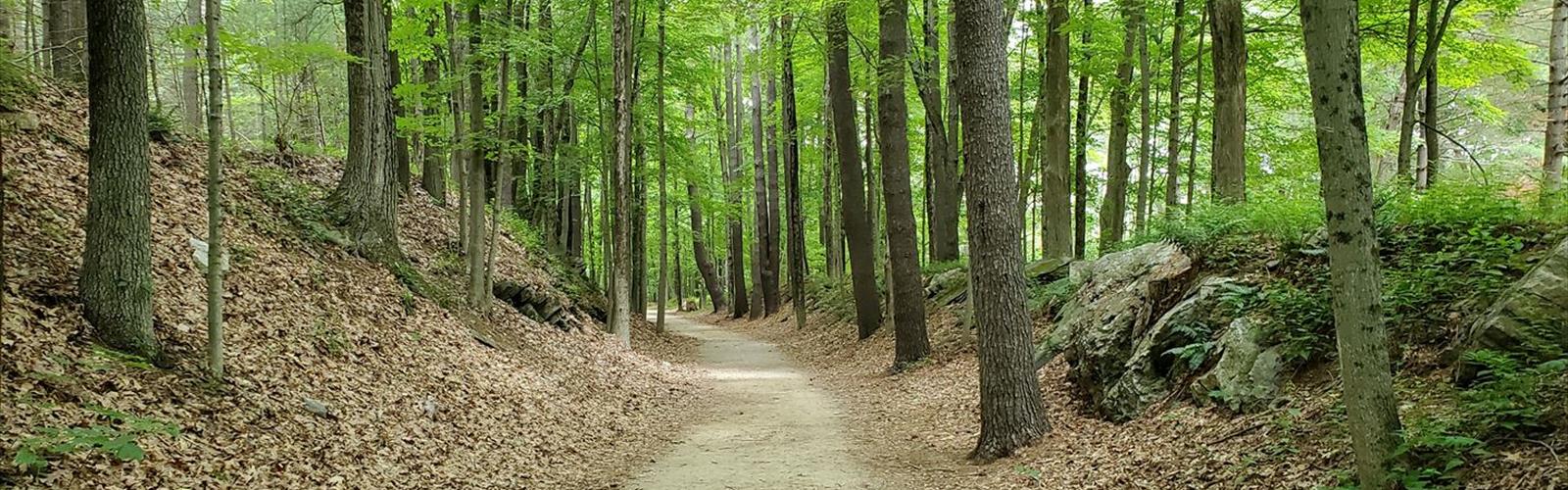 Westville Recreation Area trail - hiking in Sturbridge