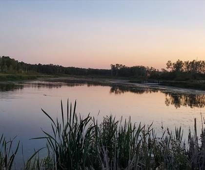 Miquelon Lake Provincial Park trail - hiking in Edmonton & Area