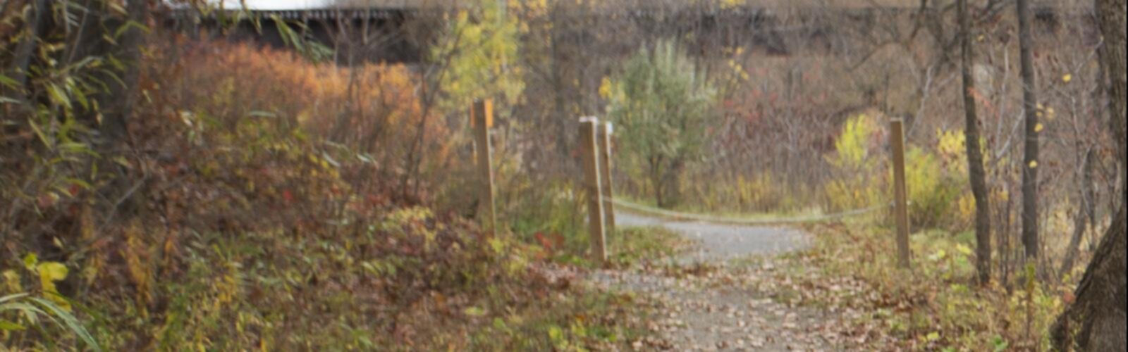 Sentier Parc Nature Bois Robert - randonnée en Montérégie