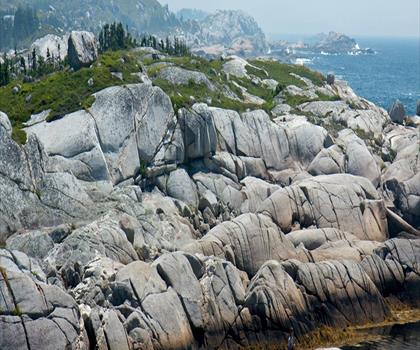 Polly Cove Hiking Trail trail - hiking in South Shore