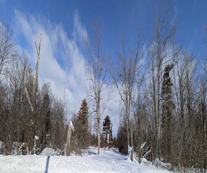 Valens Lake Conservation Area trail - hiking in Hamilton, Halton and Brant
