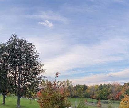 Sentier Cedarvale Park Dogs Off-Leash Area - randonnée en Greater Toronto Area
