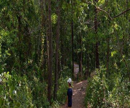 Ellisville Harbor State Park trail - hiking in South Shore