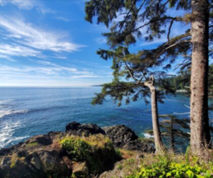 Sentier Sombrio Beach - randonnée en Île de Vancouver