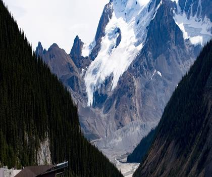Sentier chutes Tangle Creek, AB - randonnée en Canadian Rockies