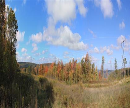 Sentier Forest Lake State Park - randonnée en Dartmouth-Lac Sunapee