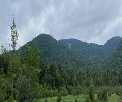Snowy Mountain trail parking trail - hiking in Adirondacks