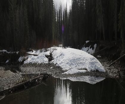 Sentier Sibbald Lake Provincial Campground - randonnée en Canadian Rockies