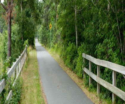 Cape Cod Rail Trail trail - hiking in Cape Cod