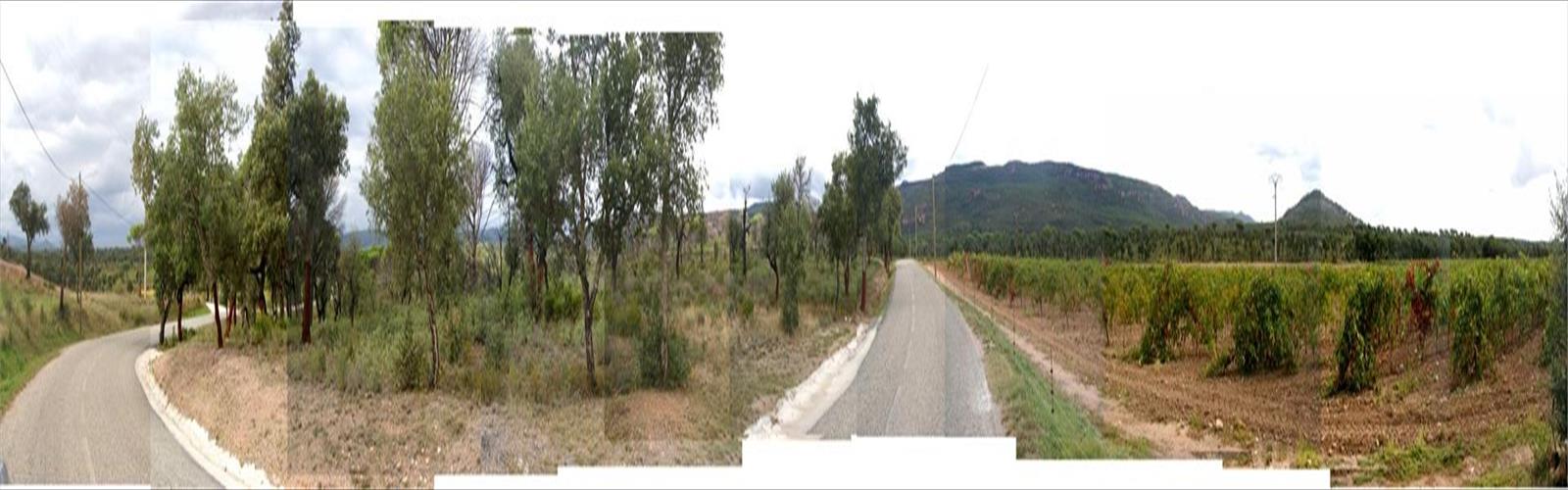 Sentier Lac de l'Endre - randonnée en Var