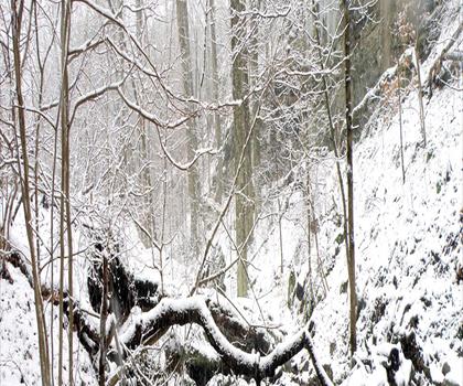 Hemlock Falls trail - hiking in Northern New Jersey
