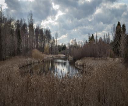 Milliken Park trail - hiking in Greater Toronto Area