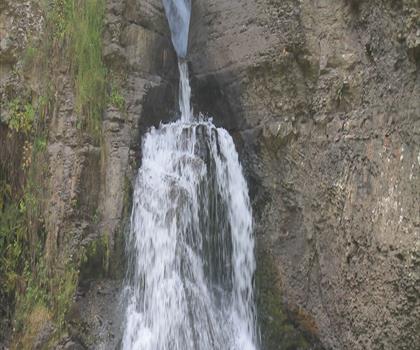 Mine Kill State Park trail - hiking in Leatherstocking Region