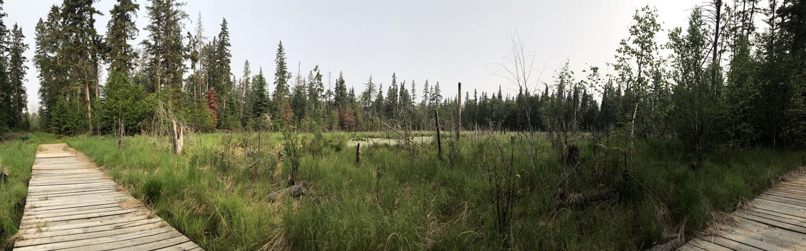 Sir Winston Churchill Provincial Park trail - hiking in Lac la Biche